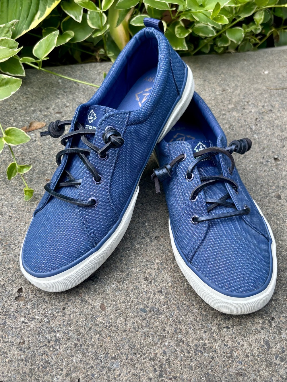 Sperry Navy Blue shimmer Sneakers.